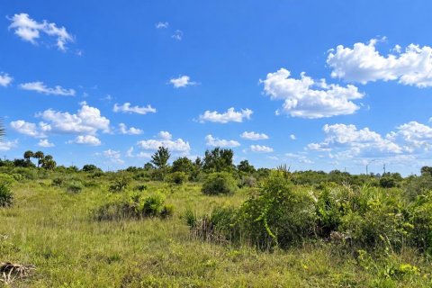 Land in Okeechobee, Florida № 2362248