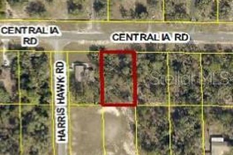 Land in Weeki Wachee, Florida № 2230737