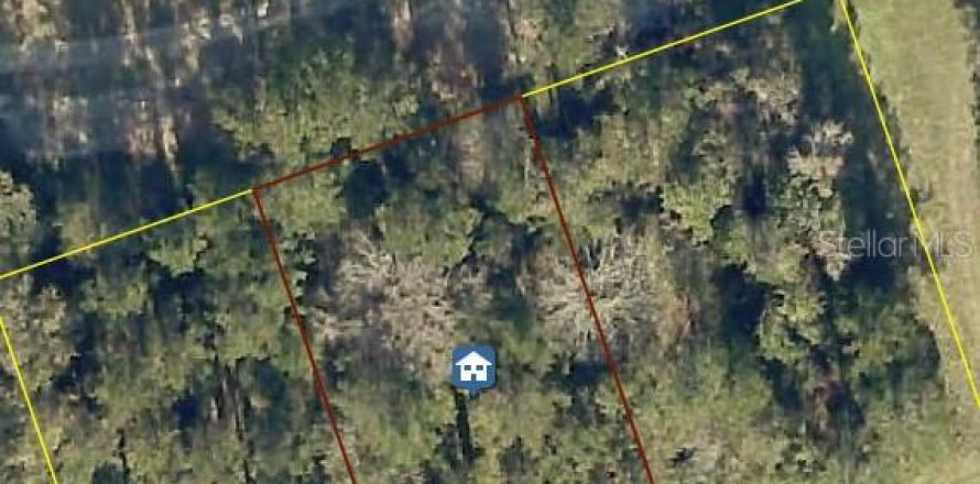Land in Brooksville, Florida № 1872856