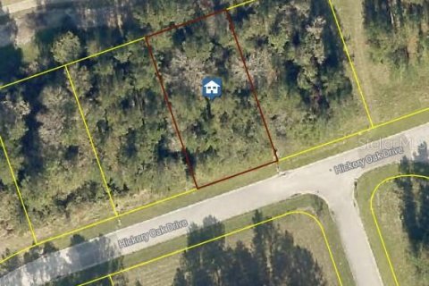 Terreno en venta en Brooksville, Florida № 1872856 - foto 3