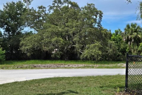 Terreno en venta en Dunedin, Florida № 1919160 - foto 1
