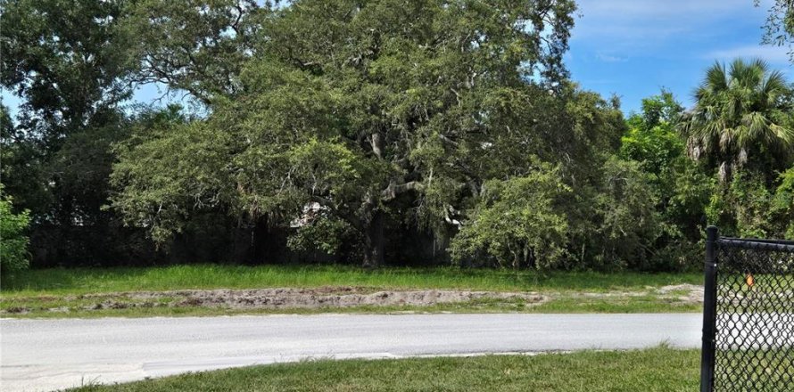 Terreno en Dunedin, Florida № 1919160