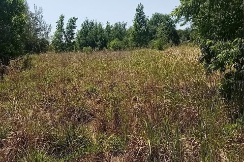 Terreno en venta en Clermont, Florida № 1625381 - foto 10