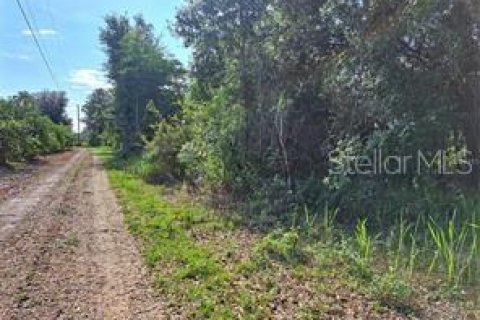 Terreno en venta en Clermont, Florida № 1625381 - foto 15