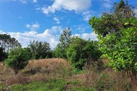 Terreno en venta en Clermont, Florida № 1625381 - foto 11