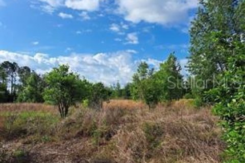 Terreno en venta en Clermont, Florida № 1625381 - foto 13