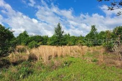 Terreno en venta en Clermont, Florida № 1625381 - foto 18