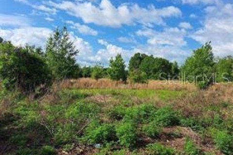 Terreno en venta en Clermont, Florida № 1625381 - foto 16
