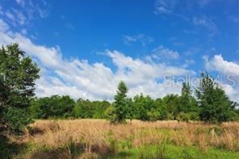 Terreno en venta en Clermont, Florida № 1625381 - foto 17