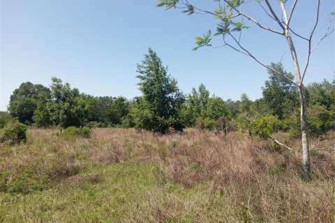 Terreno en venta en Clermont, Florida № 1625381 - foto 20