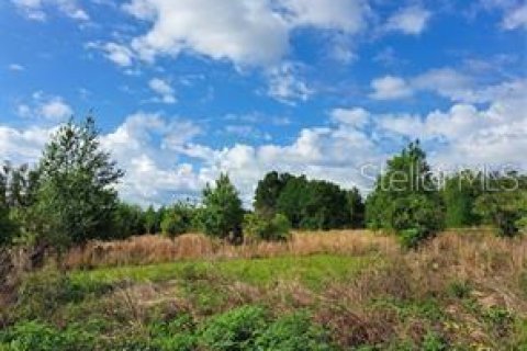 Terreno en venta en Clermont, Florida № 1625381 - foto 8
