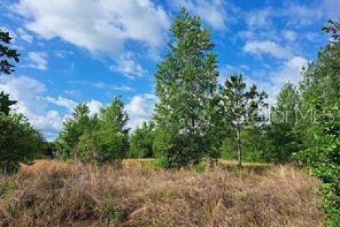 Terreno en venta en Clermont, Florida № 1625381 - foto 12