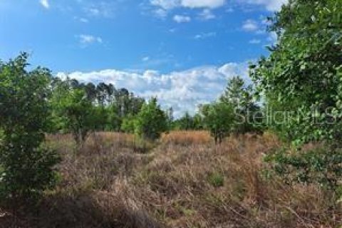 Terreno en venta en Clermont, Florida № 1625381 - foto 14