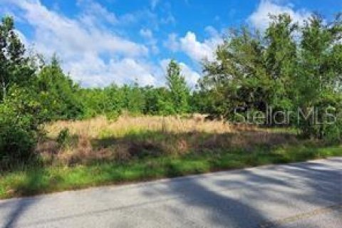 Terreno en venta en Clermont, Florida № 1625381 - foto 19