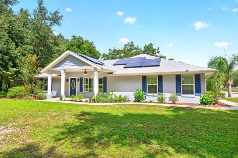 Villa ou maison à Weirsdale, Floride 3 chambres, 164.9 m2 № 2355692
