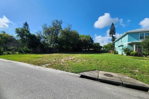 Land in Saint Petersburg, Florida № 2133410 - photo 1
