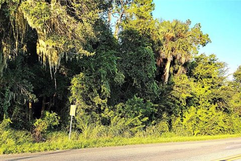 Terreno en venta en Yalaha, Florida № 1369862 - foto 4