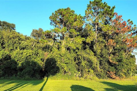 Terreno en venta en Yalaha, Florida № 1369862 - foto 7