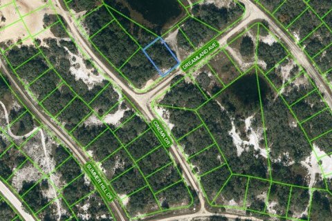 Land in Lake Placid, Florida № 2213042