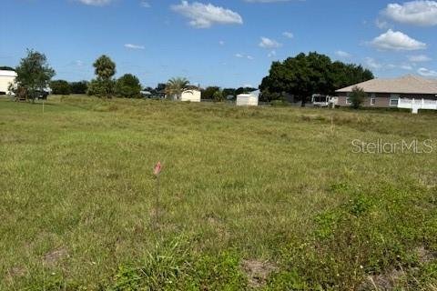 Land in Okeechobee, Florida № 1643045 - photo 9