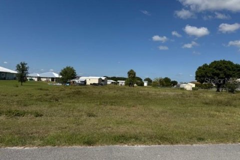 Land in Okeechobee, Florida № 1643045 - photo 2