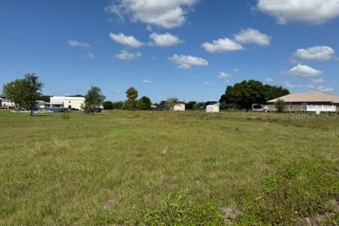 Land in Okeechobee, Florida № 1643045 - photo 8