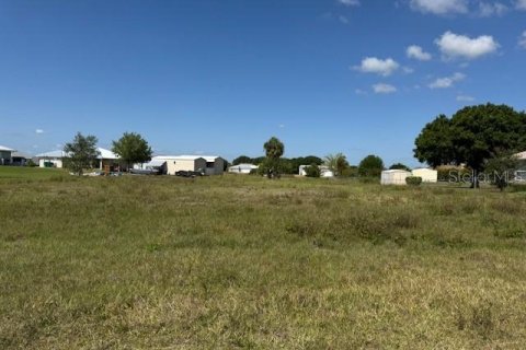 Land in Okeechobee, Florida № 1643045 - photo 5