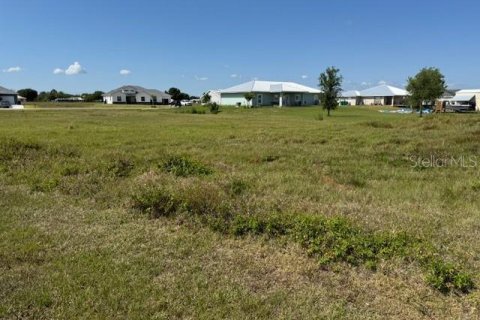 Land in Okeechobee, Florida № 1643045 - photo 7