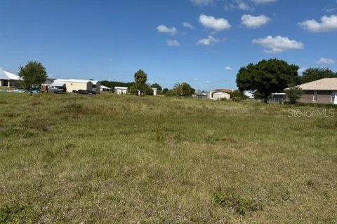 Land in Okeechobee, Florida № 1643045 - photo 6