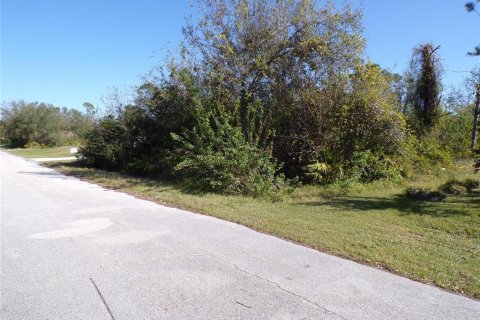 Land in Punta Gorda, Florida № 2219209 - photo 6