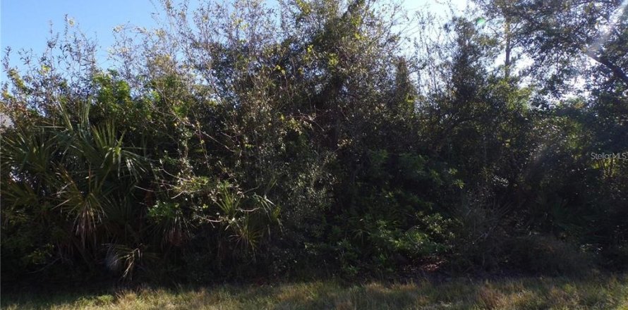 Land in Punta Gorda, Florida № 2219209