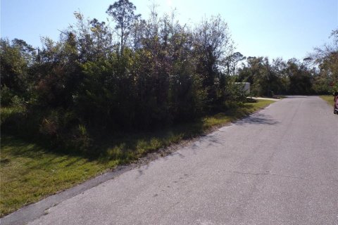 Land in Punta Gorda, Florida № 2219209 - photo 3