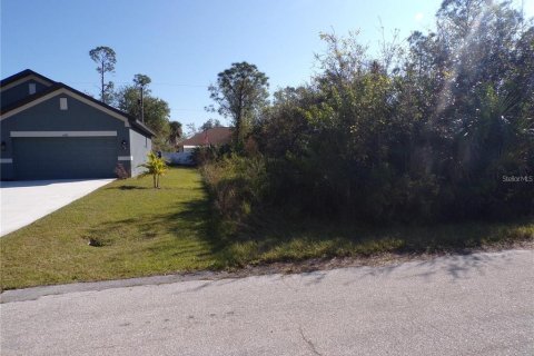 Land in Punta Gorda, Florida № 2219209 - photo 2