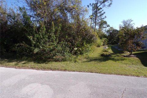 Land in Punta Gorda, Florida № 2219209 - photo 5