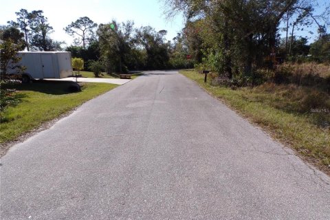 Land in Punta Gorda, Florida № 2219209 - photo 10
