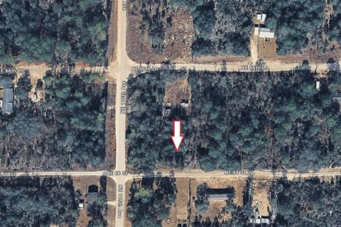 Terrain à Williston, Floride № 2195141