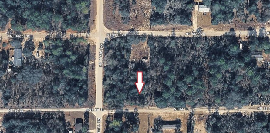 Land in Williston, Florida № 2195141