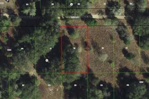 Land in Inverness, Florida № 2341751