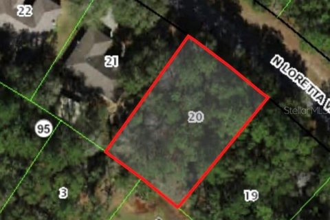 Land in Citrus Springs, Florida № 2161175 - photo 2