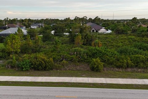 Land in Port Charlotte, Florida № 2237208 - photo 12