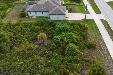Land in Port Charlotte, Florida № 2237208 - photo 4