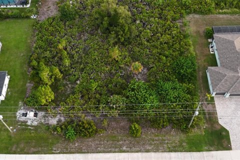 Land in Port Charlotte, Florida № 2237208 - photo 10