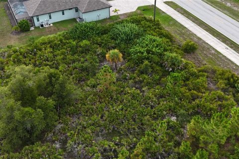 Land in Port Charlotte, Florida № 2237208 - photo 6