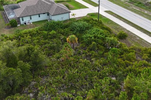 Land in Port Charlotte, Florida № 2237208 - photo 5
