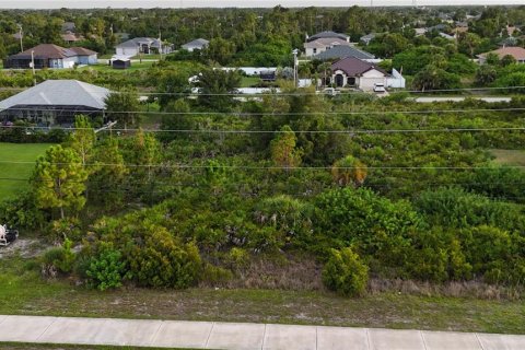 Land in Port Charlotte, Florida № 2237208 - photo 11