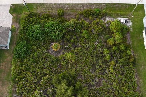 Land in Port Charlotte, Florida № 2237208 - photo 8