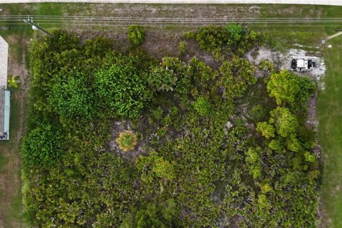 Land in Port Charlotte, Florida № 2237208 - photo 9