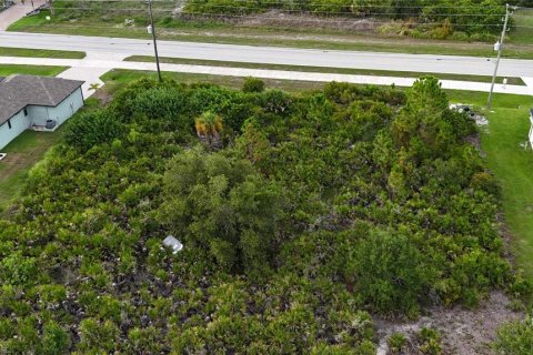Land in Port Charlotte, Florida № 2237208 - photo 7