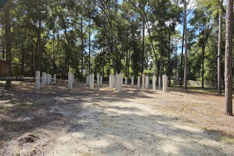 Land in Inverness, Florida № 1869926 - photo 19