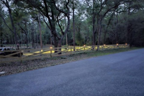 Land in Inverness, Florida № 1869926 - photo 7